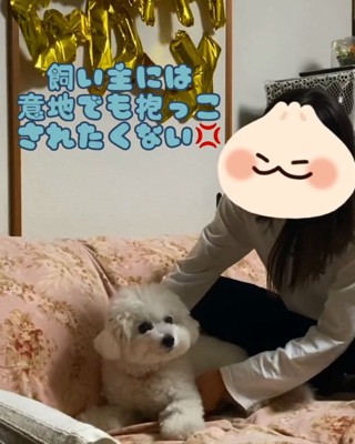 抱っこしようとする飼い主