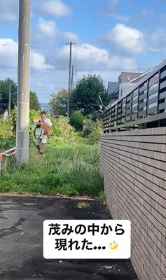 ぶん太くんとパパさんのお散歩2