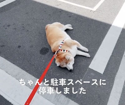 そこはきっちりと