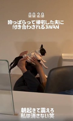 パパに持ち上げられるしらこちゃん