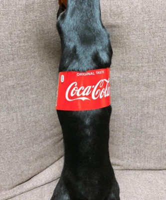 コカ・コーラの画像と思いきや？