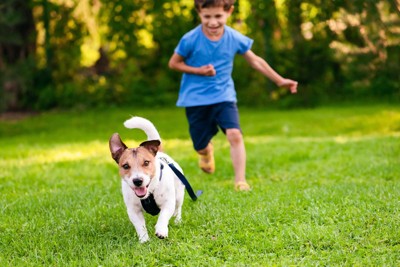 逃げる犬と追いかける子ども