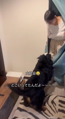 カーテン裏から出てくる女性
