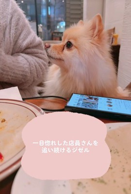 完全にロックオン！