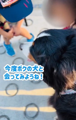 小学生に話しかけられる超大型犬