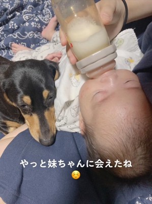 ミルクを飲む赤ちゃんに寄り添うワンコ