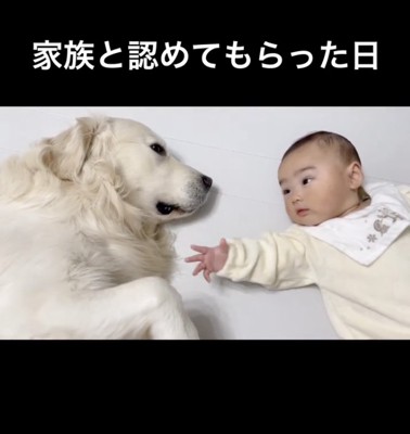 全てを受け入れています