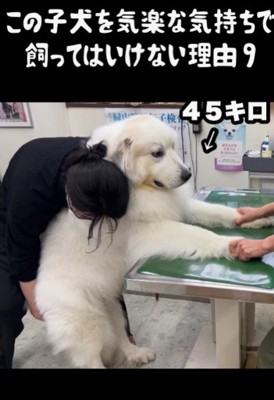 飼い主さんも命懸け…!!