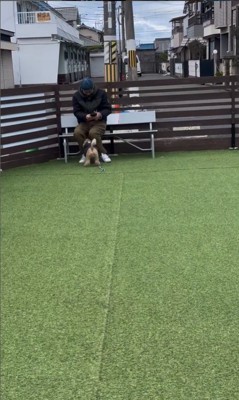 ボンドくん＆アルくんとお父さんの再会4