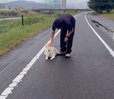 柴犬の頭を撫でる