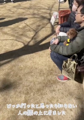 ノアちゃんいた！