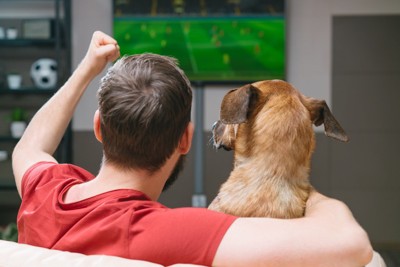 一緒にテレビ観戦する男性と犬の後ろ姿