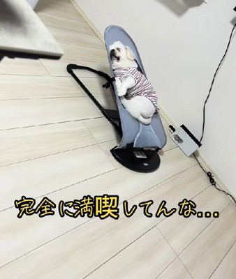 大御所感がスゴイ…!