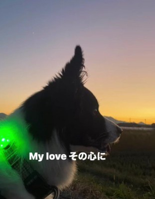 これからも幸せに!