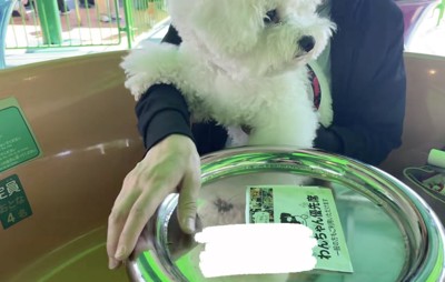 おやつより、景色が気になる