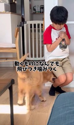 もなかちゃんとの1年間の軌跡2