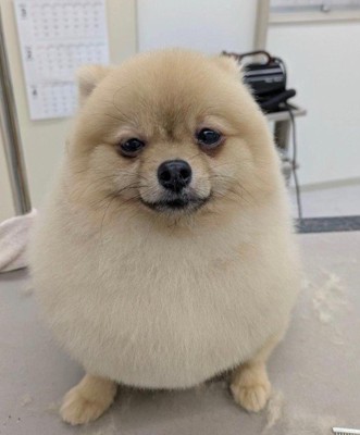 つまらなそう…!?