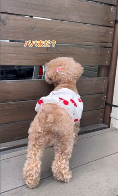 お父さんの帰りを待つティナちゃん