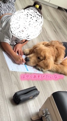 宿題をする女の子の手元を見つめる犬