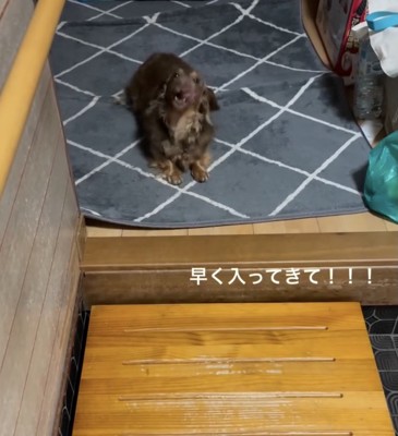 おしゃべりタイム、スタート
