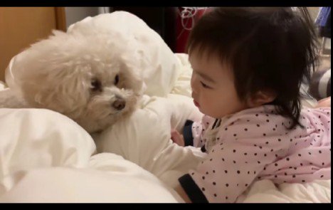 幼い頃の女の子と