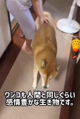微笑ましい関係性にホッコリ