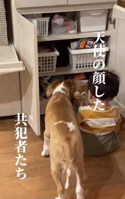 おやつをばらまく赤ちゃん