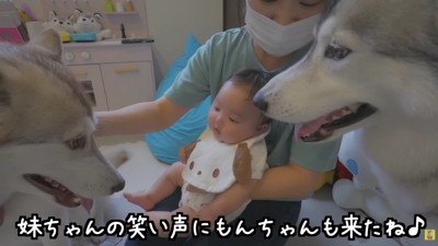 もんちゃんも一安心♡