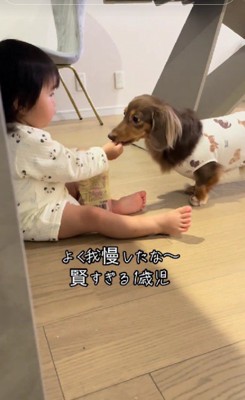 「ブイちゃんのだった」