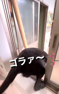 整いに行っちゃった！？