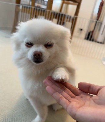 「お…来たな…?」