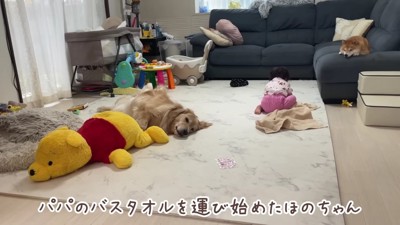 ほのちゃんの手にはタオルが…