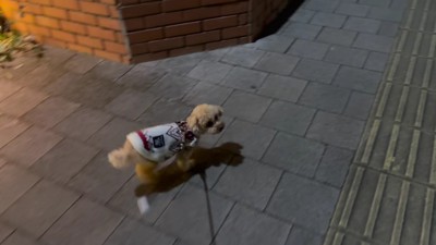 お散歩で気分転換♪