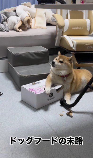 ドッグフードを死守