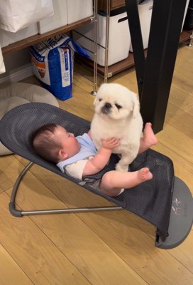 泣いちゃうかも…?
