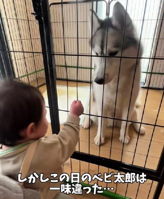 赤ちゃんが待機