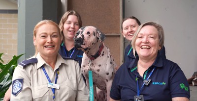 4人の女性と犬