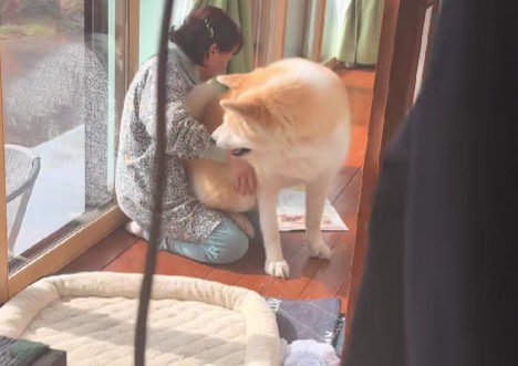 いつでも甘えているそう