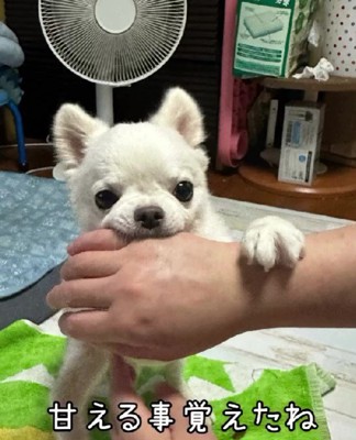 甘えることも覚えたよ