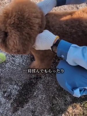 肩もみもしてくれたよ