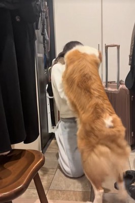 飼い主の姉の顔を舐める中型犬