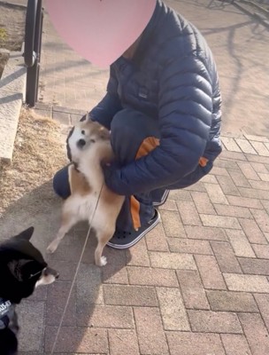 全体重で圧をかけます