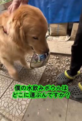 「どこに運べばいいですか?」