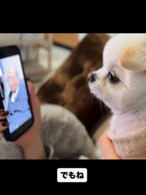 少しずつ受け入れて…