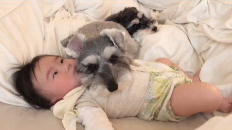 赤ちゃんを枕にするトトちゃん