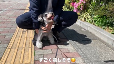 「もっとナデナデして♡」
