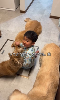 犬3匹を撫でる男の子9