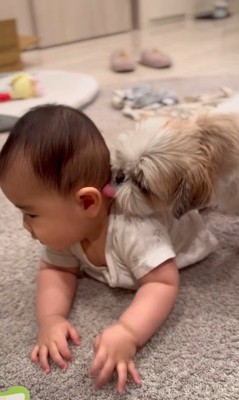 赤ちゃんが大好きなピコちゃん6