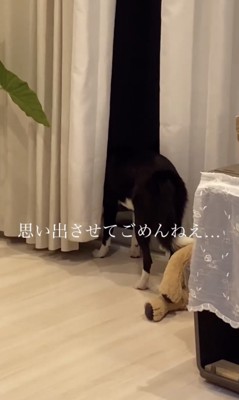 まだかな
