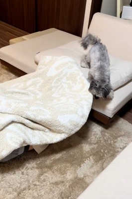 違和感を覚えるピーターくん